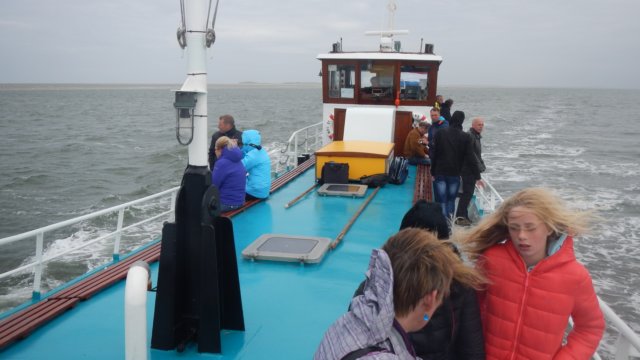 HWK Texel 2015 081.jpg